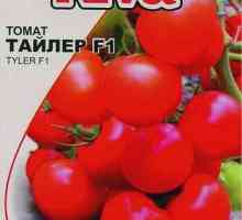 Tomato `Tyler` F1 descrierea soiului hibrid de roșii
