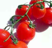 Tomato Valentine, descriere. Cultivarea răsadurilor, recenzii