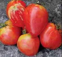 "Inima bebelusului de tomate" - un tratament printre legume