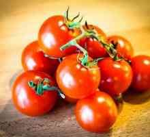 Tomate: cele mai bune soiuri pentru o seră. Recenzii și descriere