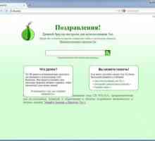 Tor Browser: feedback utilizator despre utilizarea practică a browserului