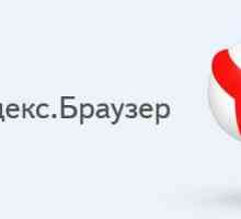 Frânele Yandex.Browser - ce să fac? Virușii de calculator și programele antivirus. Cum se curata…