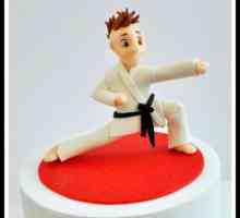 Cake `Karate` este un cadou ideal pentru un dinte dulce