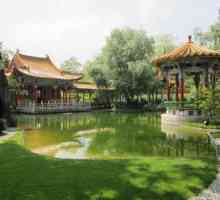 Grădina tradițională chineză: descriere, specie și caracteristici