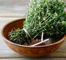 Cîrna de iarbă: proprietăți medicinale, indicații, metode de aplicare și contraindicații