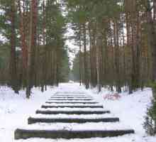 Treblinka (tabara de concentrare): istorie. Memorialul din Treblinka