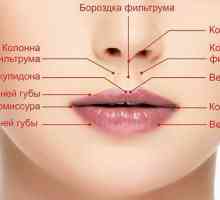 Fisuri în colțurile buzelor: cauze și tratament
