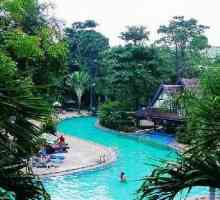 Parcurile tropicale din Pattaya și cel mai verde hotel din oraș