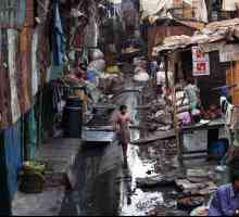 Slums of Mumbai: istorie, descriere și fapte interesante