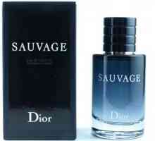 Apă de toaletă Dior Sauvage: recenzii, piramida, preț