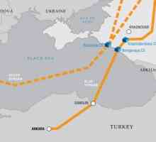 Turul turcesc este mort? Istorie și modernitate
