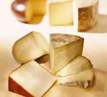 Tipuri de brânză tare: nume, feluri și tradiții de servire