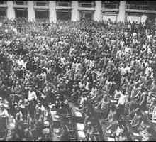 Adunarea Constituantă (1917). Alegerile în Adunarea Constituantă