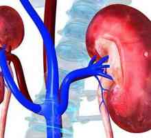 Îndepărtarea rinichilor: indicații, perioada postoperatorie, reabilitare, nutriție, consecințe