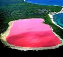 Awesome Australia: Hiller - un lac roz cu plaje de sare