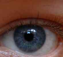 Institutul de Cercetări UV al Boli oculare. Ufa Institutul de Cercetare a Boli oculare