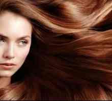 Ухаживающая косметика Concept для волос: описание