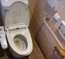 Toaletă inteligentă - noutatea din lumea ingineriei sanitare