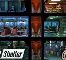 Un caracter unic Fallout: Shelter - Străinul misterios