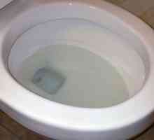 Toaletă anti-vărsare de toaletă: soiuri de anti-splash și recenzii