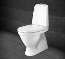 Gustavsberg toalete de toaletă: tipuri, descriere. Comentariile cumpărătorilor despre instalații…