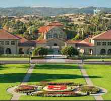 Universitatea Stanford: facultate și adresă