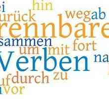 Gestionarea verbelor în limba germană: reguli și exemple