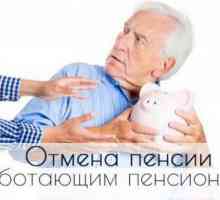 Eliminarea pensiei pentru pensionarii care muncesc: detalii