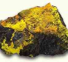 Uraniu de minereu. Cum extrag minereul de uraniu. Uraniu de minereu în Rusia