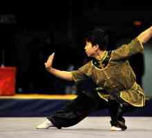 Wushu Taolu - gimnastică chineză