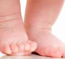 Stabilirea paternității în birourile registratorului: documentele necesare și datoria de stat