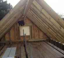 Dispozitivul unui acoperiș din profist pe o cutie de lemn: instruirea, tehnologia