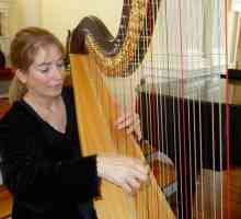 Dispozitivul de instrumente muzicale: câte strings are harpa?