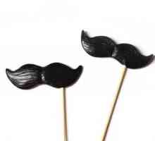 Mustache on stick: face accesoriu original