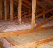 Izolarea tavanului într-o casă cu acoperiș rece: materiale, tehnologie
