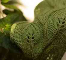 Modele cu spițe `Leaf`: schema. Modele de tricotat