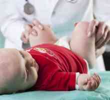 В 6 месяцев каких врачей проходить с ребенком нужно обязательно? 5 самых важных специалистов