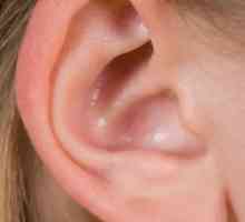 Care este motivul pentru urechile umplute?