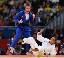Care este diferența dintre judo și sambo?