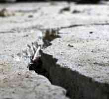 În Irkutsk, un cutremur care îngrijora întregul oraș