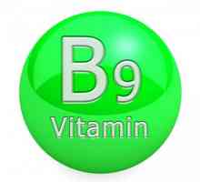 B9 (vitamina). Ce alimente conțin vitamina B9 (acid folic)