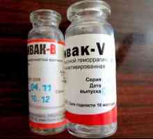 Vaccinul "Rabbivac V": instrucțiuni de utilizare, compoziție, analogi, doze