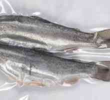 Ambalarea în vid a peștilor - o garanție a conservării pe termen lung