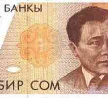 Moneda Kârgâzstanului: descriere și istorie