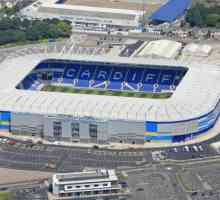 Welsh Cardiff City Stadium: istorie și meciuri