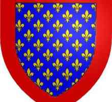 Valois (dinastia). Istoria Franței