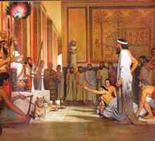 Regele babilonian Hammurabi și legile lui. Pe cine a protejat legile regelui Hammurabi?