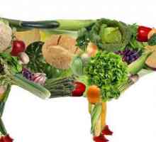 Vegetariana este ... Vegană și vegetariană: diferență, trăsături de nutriție și fapte interesante