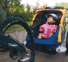 O remorcă pentru biciclete pentru un copil este un asistent fiabil atunci când călătorește cu copii