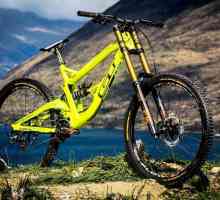 Bicycles Fury: comentarii. Mountain bike: caracteristici, prețuri